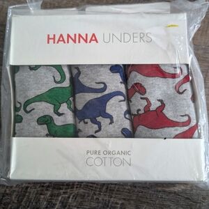 Nwt Hanna Andersson Boys Boxer Briefs Size XL (14-16)